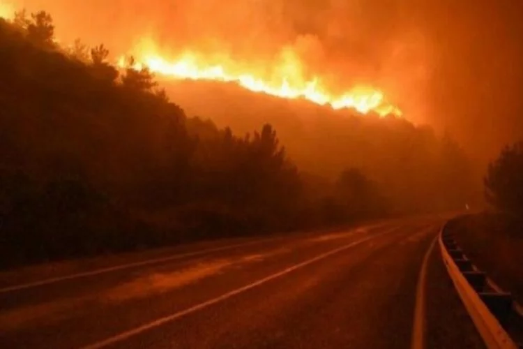 Menderes'teki orman yangını sanığına 7 yıl hapis istemi