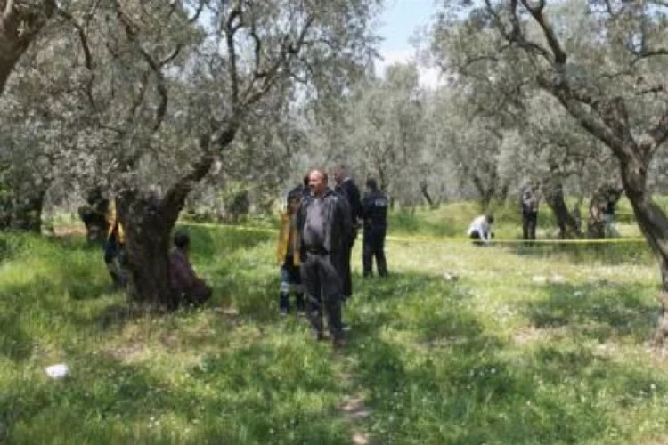 Bursa'da ağaca asılı ceset bulundu