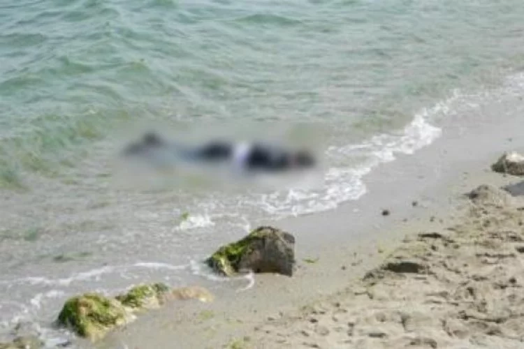 Bursa'da kayıp gencin cesedi deniz kıyısında bulundu