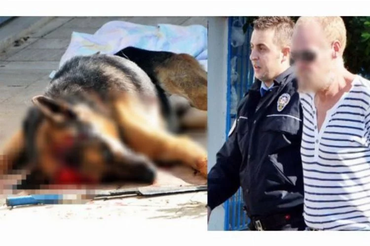 Vahşet... Köpeğini sokak ortasında başına vura vura öldürdü