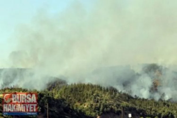  Heybeliada'da orman yangını