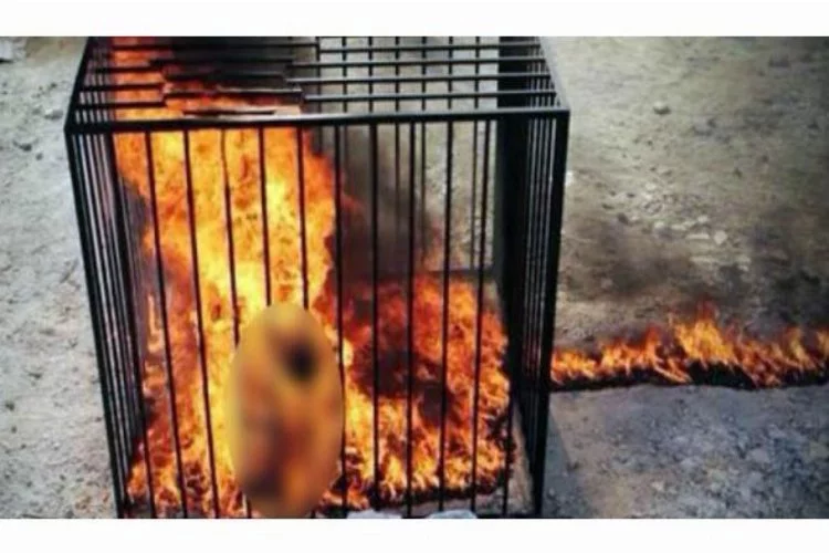 IŞİD'e özenip 10 yaşındaki çocuğu yaktılar