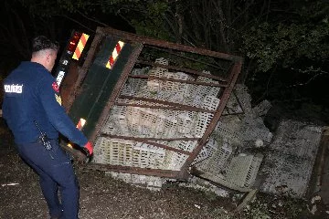 Bolu'da tavuk yüklü kamyon uçuruma devrildi, yüzlerce tavuk telef oldu