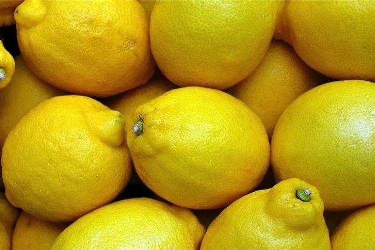 Bulgaristan'dan geri çevrilen limonlarla ilgili soruşturma