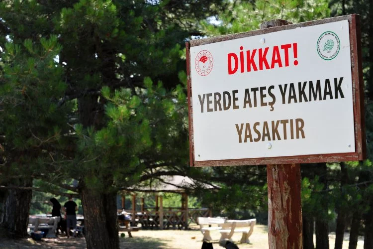 Bursa'da mangal yasağı piknikçileri küstürdü, yaban hayatı canlandı