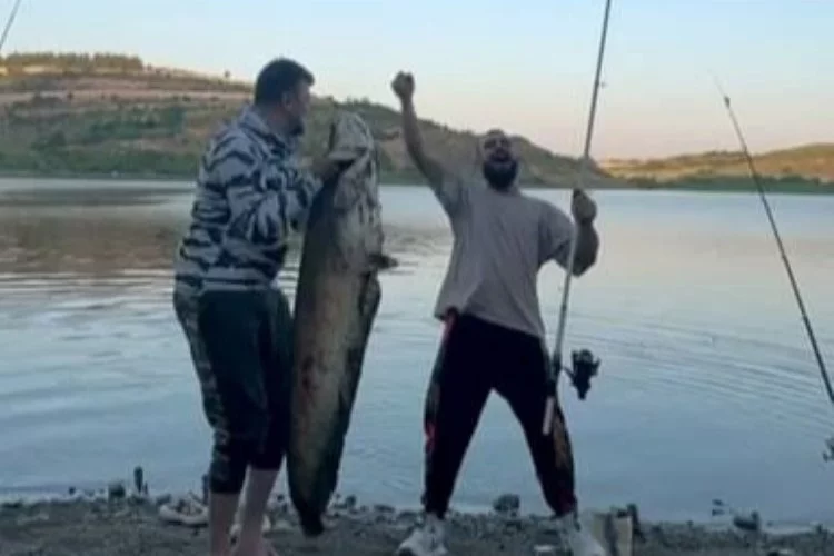 Bursa'da oltayla 165 santimetrelik balık tuttular