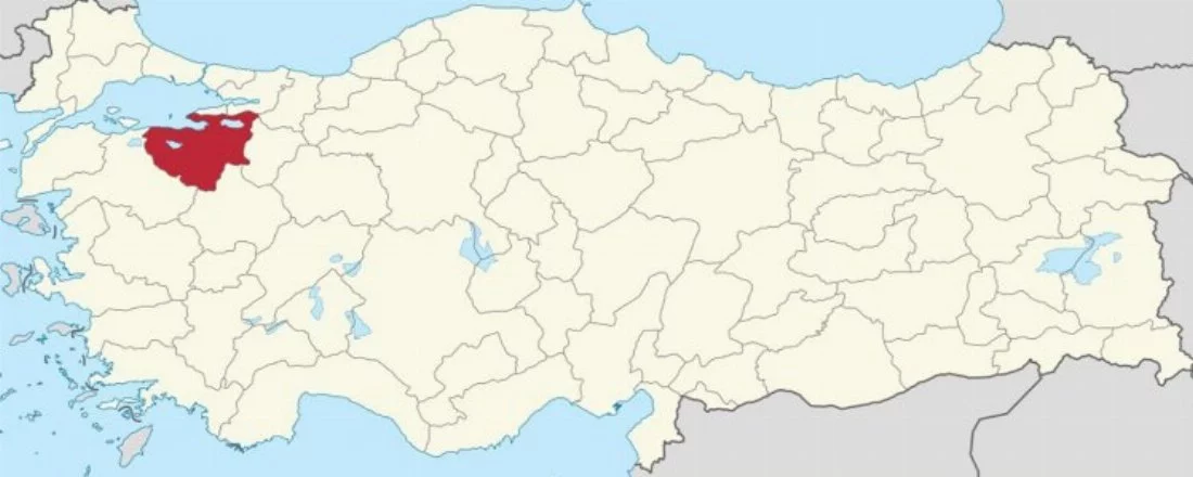 Bursa'daki belediye başkanları aslen nereli? Erzurum, Artvin, Tunceli...