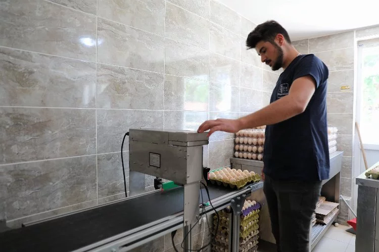 Bursa'daki meslek lisesinde üretilen yumurtalar öğrencilere harçlık oluyor