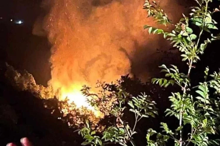 Bursa'dan da itfaiye ekipleri gönderildi: Yalova'da çıkan orman yangını söndüldü!