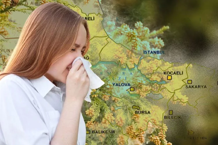 Bursa'ya polen alerjisi uyarısı! Tarih verildi: Halsizlik, huzursuzluk ve keyifsizlik...