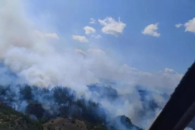 Çanakkale ve Tekirdağ'da orman yangını