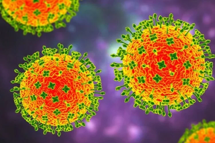 Çin'de ortaya çıkan yeni 'Langya' virüsü 35 kişide tespit edildi