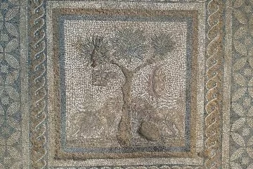Düzce'de "Dionysos Kült Mekanı"nı yansıtan aslanlı mozaik bulundu