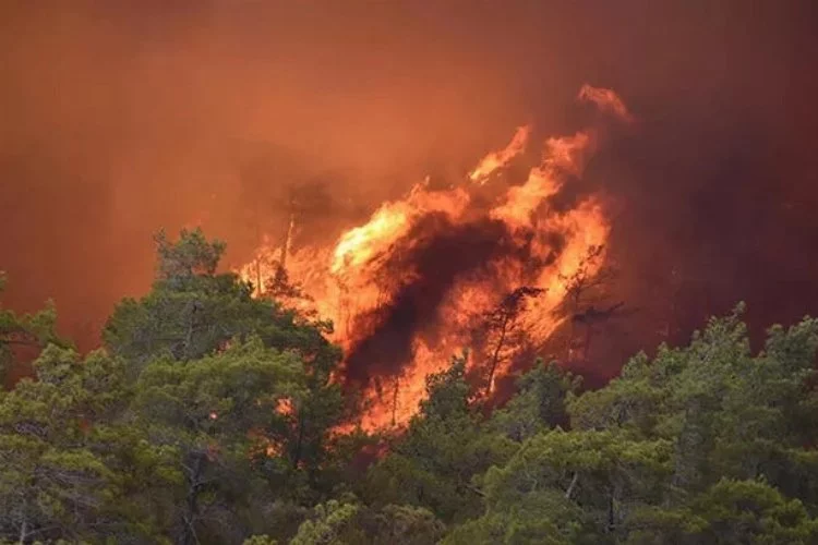 Emniyet'ten Marmaris'teki orman yangınına destek