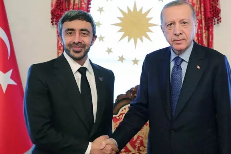 Erdoğan, Zayid Al Nahyan'ı kabul etti