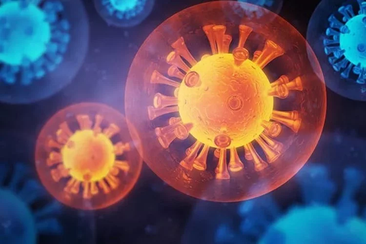 Koronavirüs'te yeni keşif: Antikor imzası!