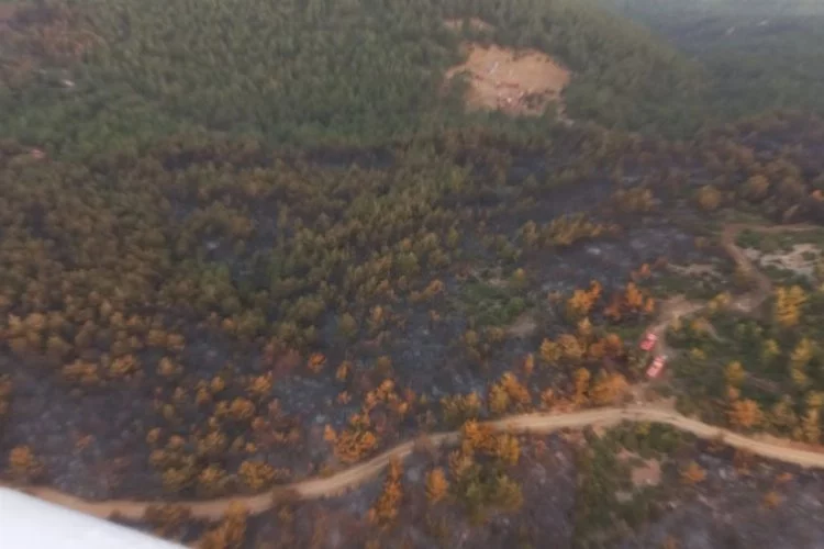 Manisa Soma’daki yangında 50 hektarlık alan zarar gördü
