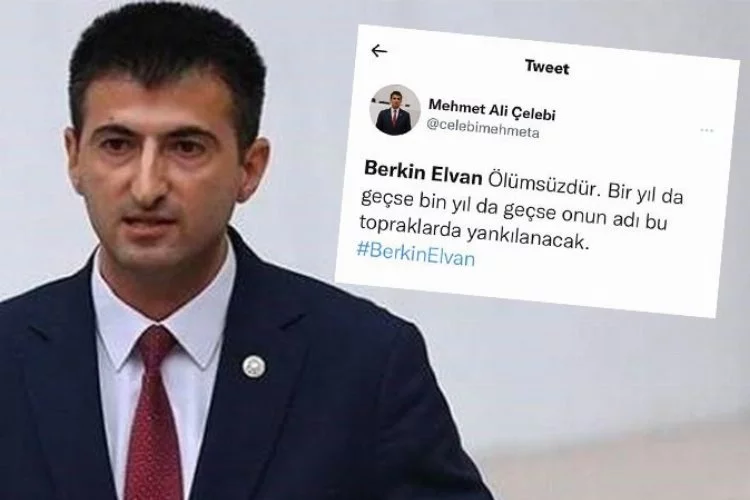 Mehmet Ali Çelebi, Berkin Elvan tweetini sildi