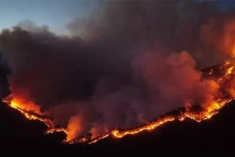 Meksika'da orman yangınları eğitimi vurdu! Yeni karar...