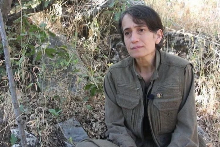 PKK'nın sözde üst düzey sorumlusu etkisiz hale getirildi