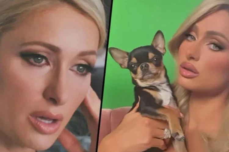 Paris Hilton'ın köpeği kayboldu! 'Evcil hayvan medyumlarıyla konuştum'
