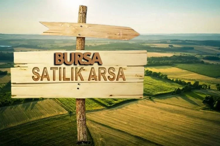 Parsel parsel satış sürüyor: Milli Emlak Bursa'da çok sayıda arsa ve tarlayı elden çıkarıyor! 300 bin TL...