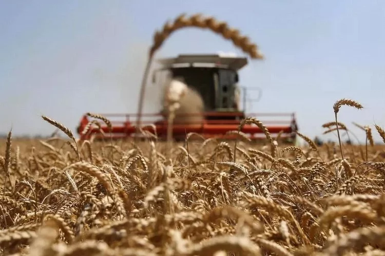 Rusya: Afganistan’a tahıl yardımında bulunmaya hazırız