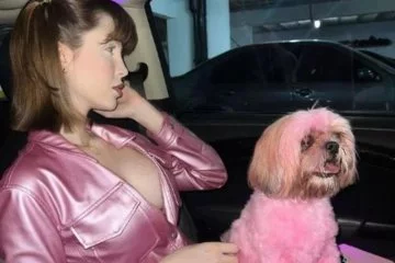 Sabrina Low, köpeğini pembe renge boyadı