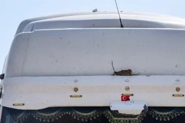 Tır şoförü, aracına yuva yapan kuş için kontak kapattı