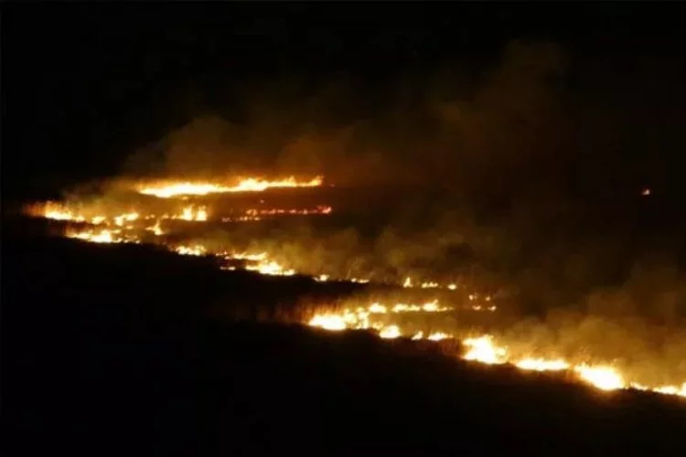 Hakkari'nin Yüksekova'nın kuş cenneti 4 gündür alev alev yanıyor