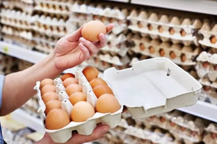 Yumurta üreticileri zorda! Yüzde 100'ün üzerinde zarar ediyoruz"